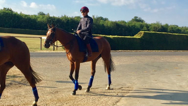 Andrea Atzeni sat on his Sussex Stakes partner Without Parole last week