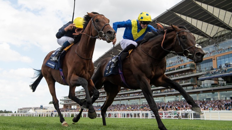 Poet's Word (right) wears down Crystal Ocean to land the King George