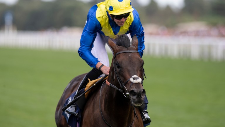 Poet's Word: had Breeders' Cup Turf as autumn target