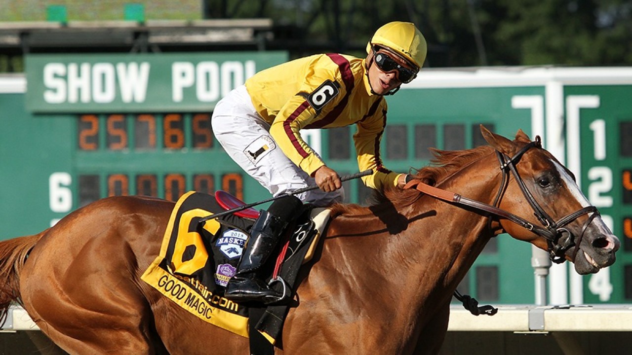 Good Magic Retired To Stand At Hill N Dale Farms Bloodstock News Racing Post