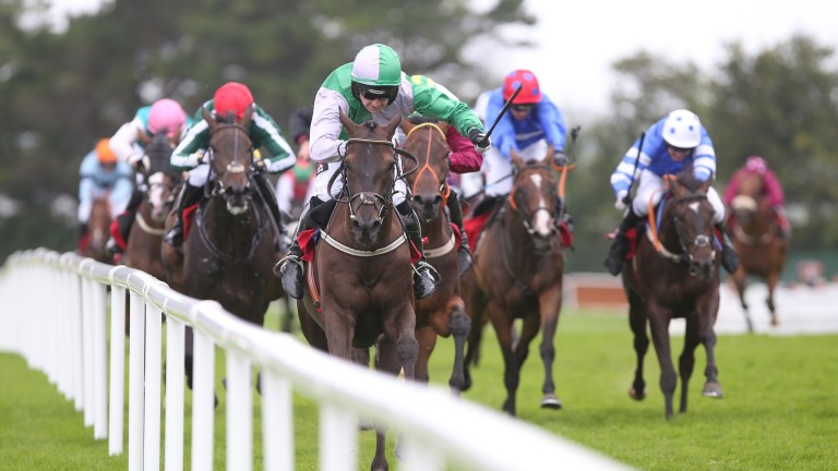 Exchange Rate, pictured winning on the Flat at Galway last year, lines up for Willie Mullins in the opening novice hurdle