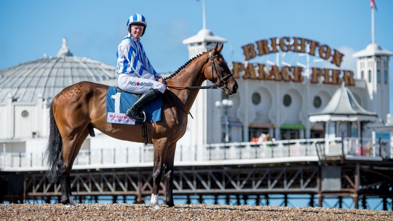 Horse Racing News | Latest Racing Updates | Racing Post