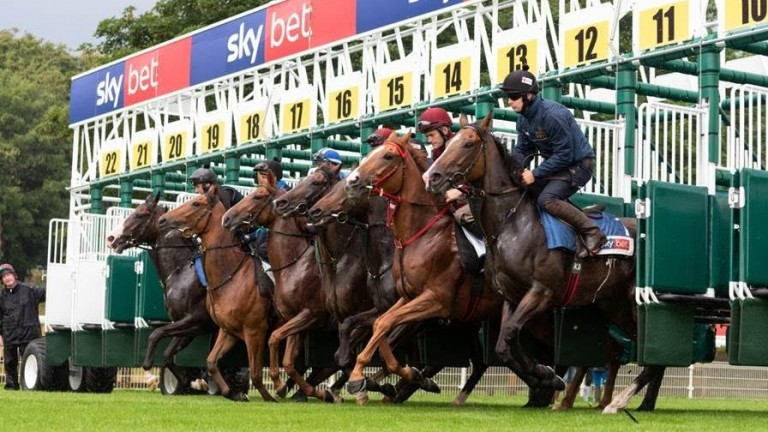 pont de vivaux horse racing betting terms