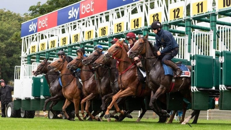 superfecta horse racing betting systems superfecta horse racing betting systems