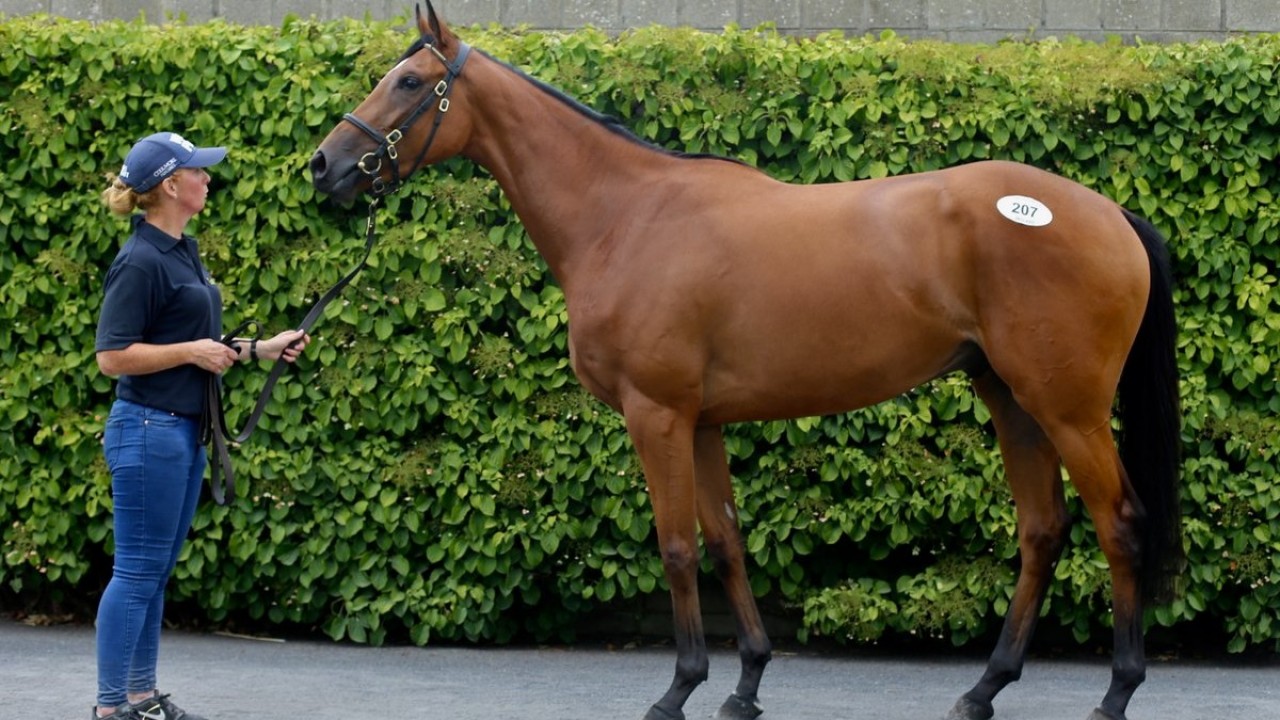 Fame And Glory Gelding Tops August National Hunt Opener At 80 000