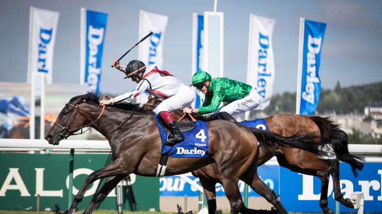 Nonza and Alexis Badel wins the Darley Prix Jean Romanet