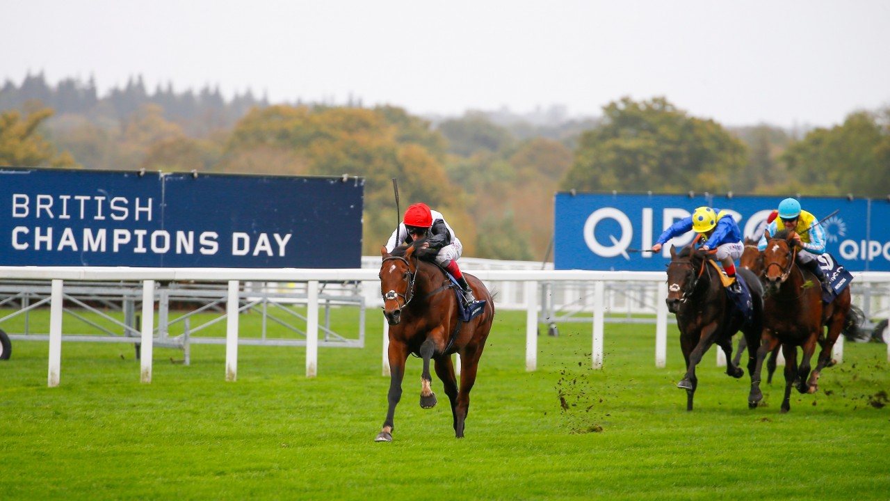 Arc De Triomphe Race Card 2018 Arc De Triomphe Race Card 2018