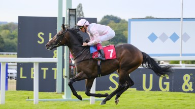 Too Darn Hot: heads the final field for the Solario Stakes