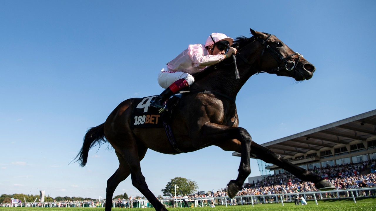 Doncaster Next For Exciting Too Darn Hot As Gosden Seeks Champagne Success Horse Racing News Racing Post