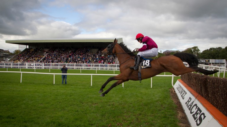 Kerry National is Listowel Featured Race of the Year