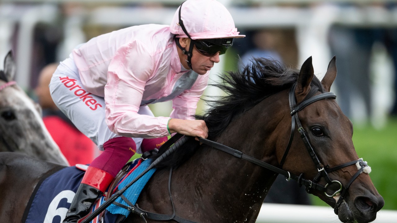 Too Darn Hot To Miss 2 000 Guineas As Gosden Team Run Out Of Time Horse Racing News Racing Post