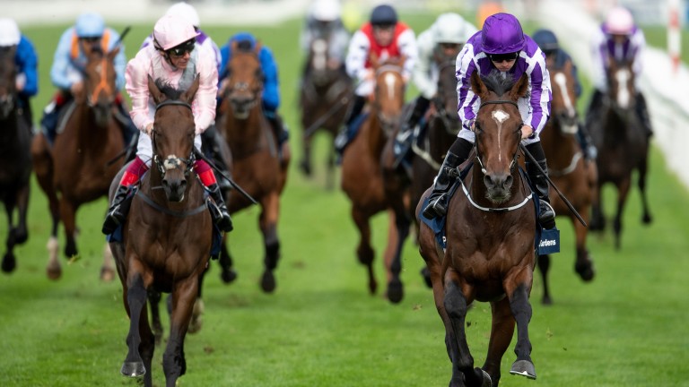 Lah Ti Dar (left) could not overhaul Kew Gardens in the St Leger