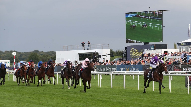 Kew Gardens: the St Leger winner is one of three horses being considered for the Long Distance Cup