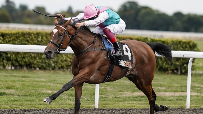 Enable: recent Kempton winner set to feature at the Newmarket open weekend