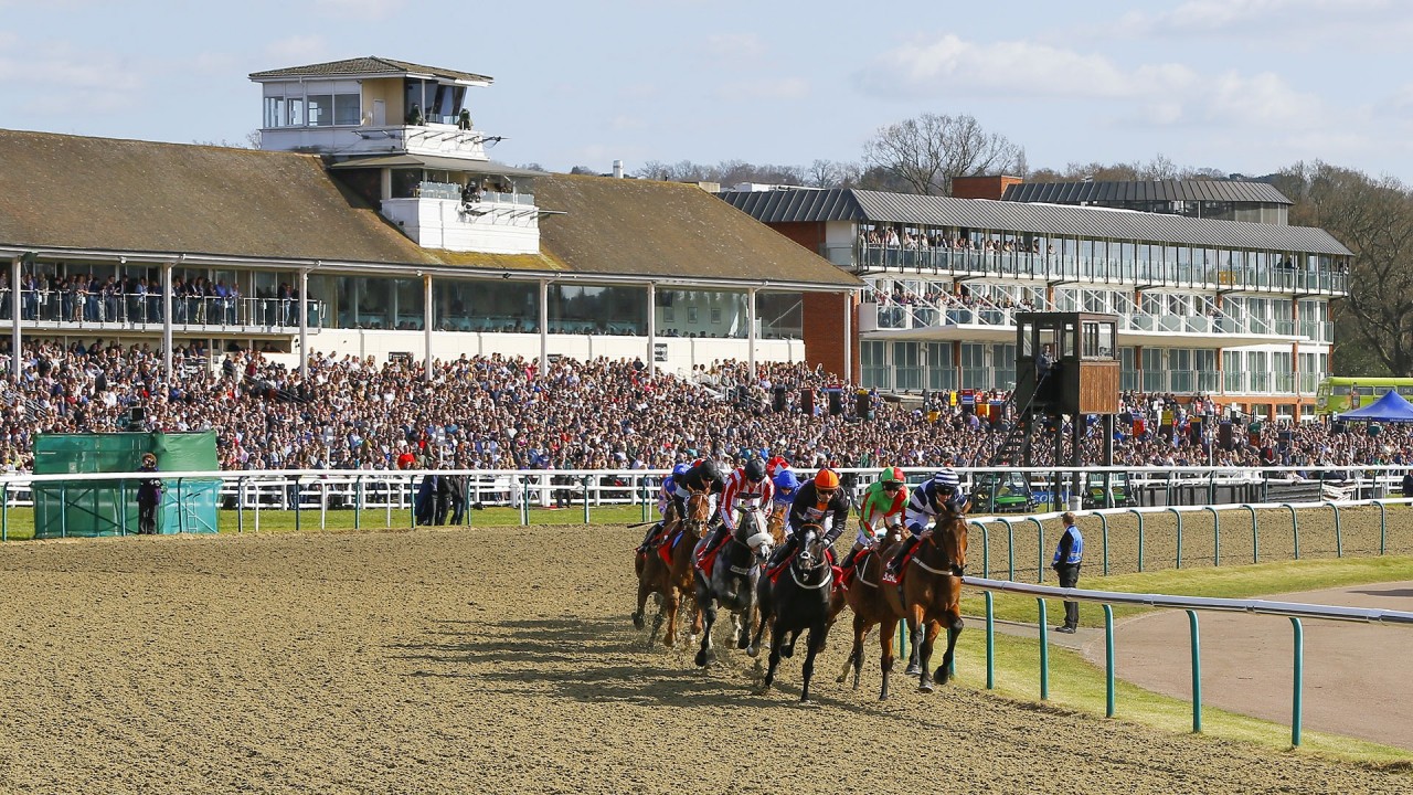 Maddy Playle gives her best tips for Tuesday's racing at Lingfield