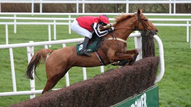 LEOPARDSTOWN SUN 27 DECEMBER 2015  PICTURE: CAROLINE NORRIS    SIMPLY NED RIDDEN BY BRIAN HARDING