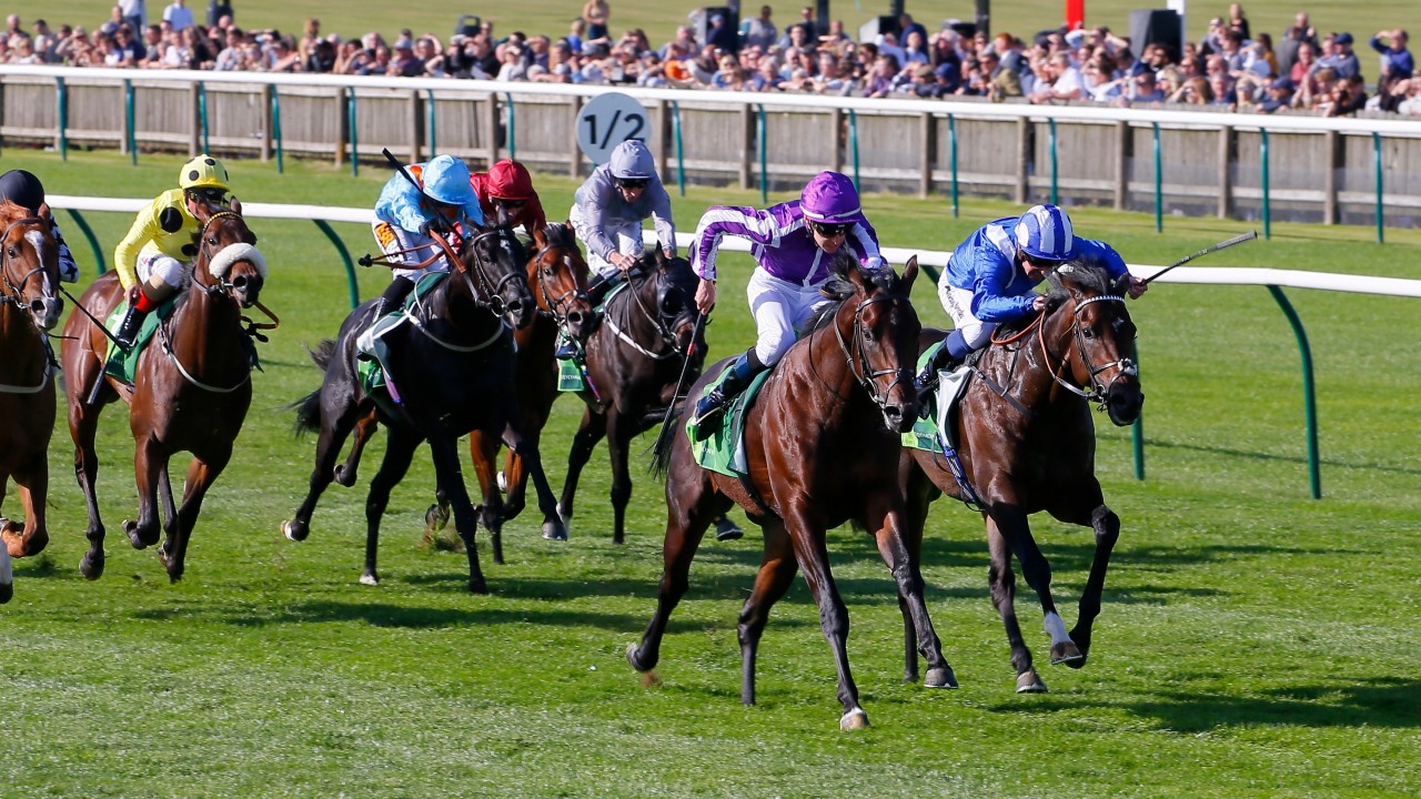 Image result for ten sovereigns middle park stakes