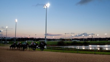 Wolverhampton: eight-race card this evening