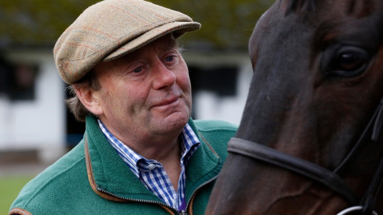 Nicky Henderson: runs the exciting Never Adapt
