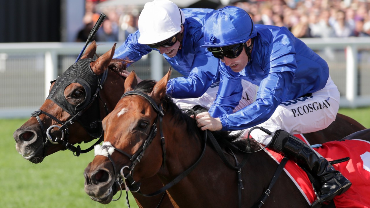 winx horse caps