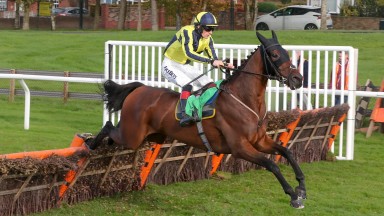 Good Boy Bobby: highly regarded novice hurdler formed part of a treble for Nigel and Sam Twiston-Davies