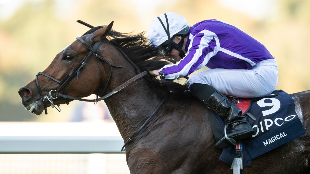 Pretty polly stakes betting websites Pretty polly stakes betting websites crypto publishers