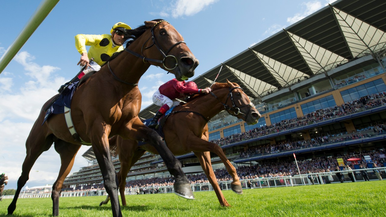 Ascot Fixtures 2021 Ascot Fixtures 2021