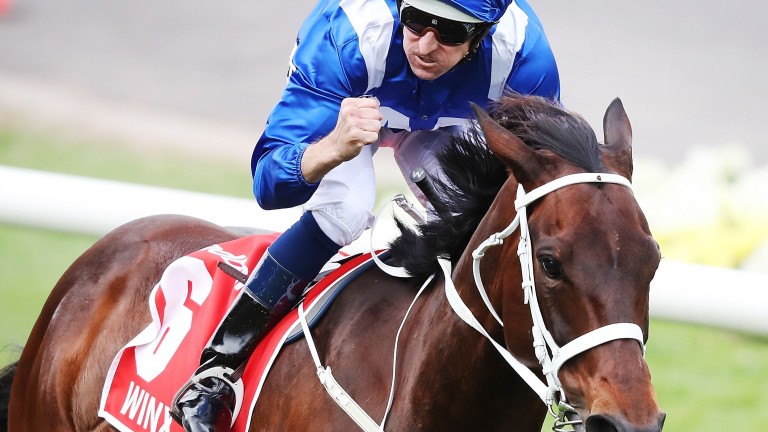 The Postcast team look back at Winx's win in the Cox Plate