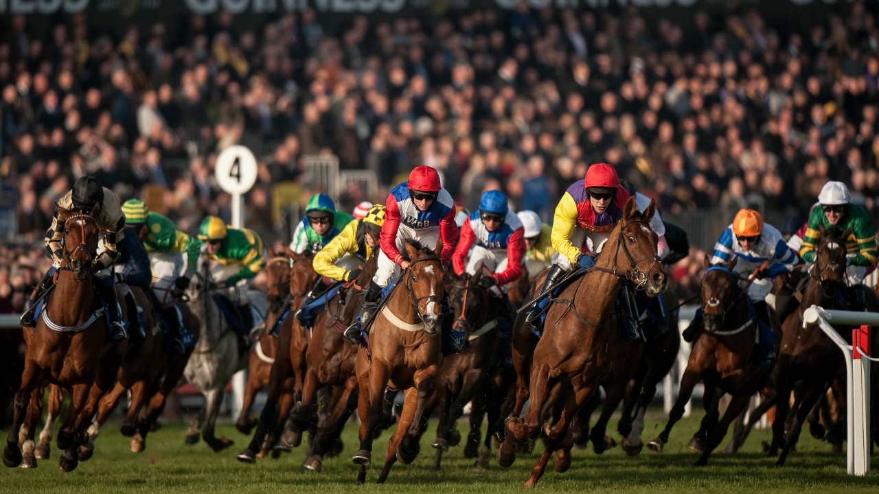 Jockey Club plays down fiveday Cheltenham Festival amid fresh