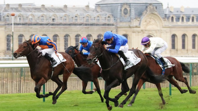 Royal Meeting (No 3) and Christophe Soumillon come to claim Hermosa (striped cap) in the Group 1 Criterium International