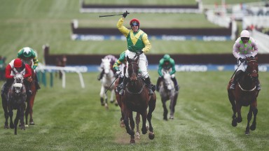 Sizing John: the former Gold Cup hero could return in the Kinloch Brae at Thurles rather than Leopardstown