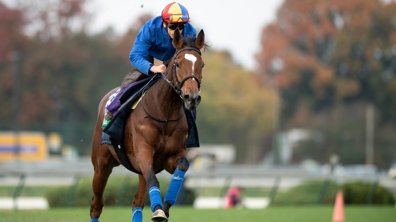 Bet365 First Past The Post