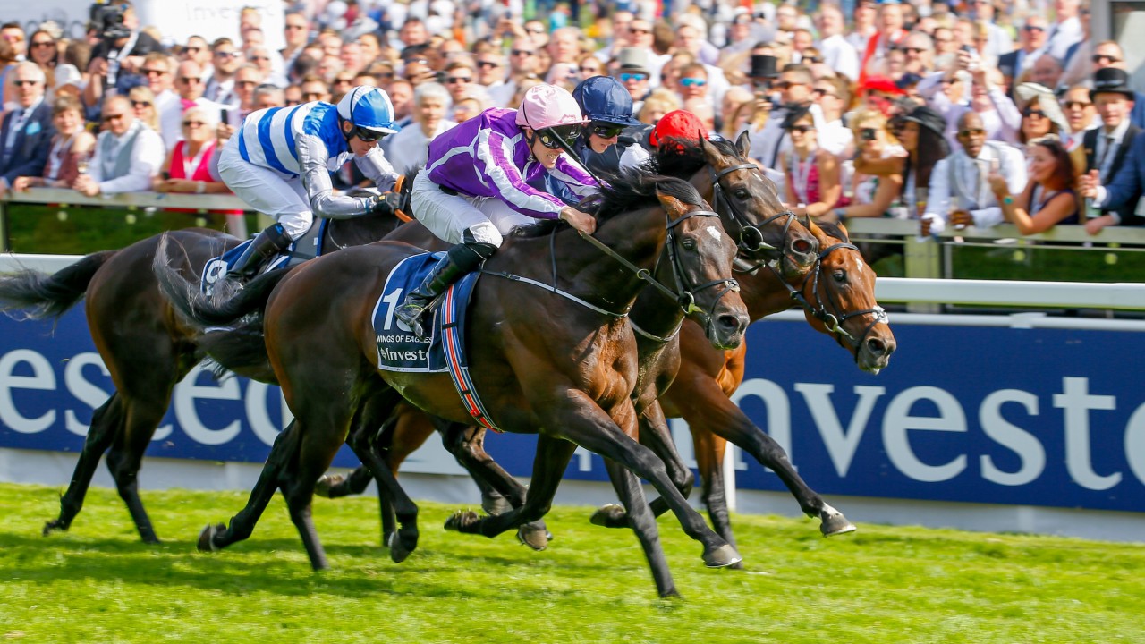 Wings Of Eagles colt sells to Australia as Brummitt bemoans lack of