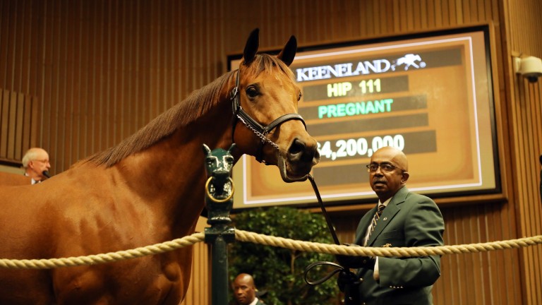 Lady Eli: John Sikura thought she would have made "way more" than $4.2m