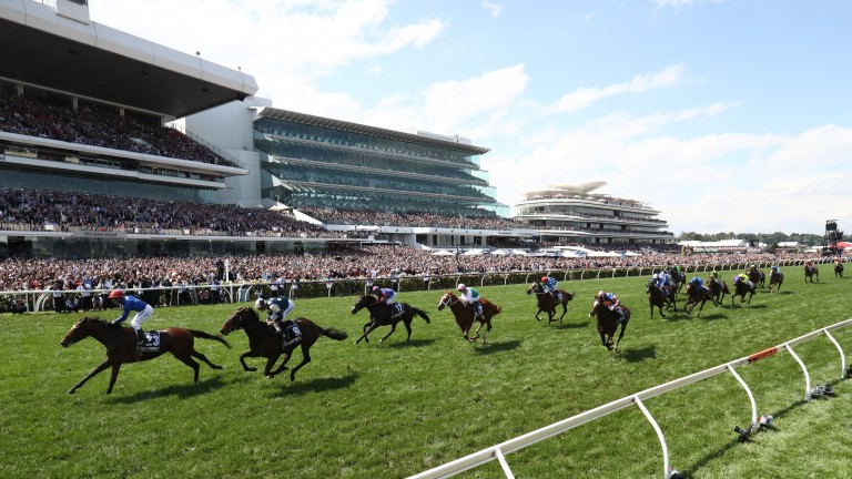 Cross Counter surges home to win the Melbourne Cup