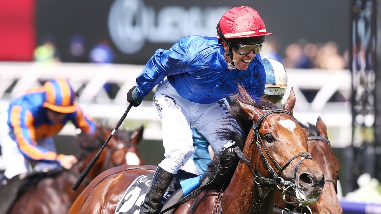 Blue is the colour: an elated Kerrin McEvoy wins the Melbourne Cup on Cross Counter