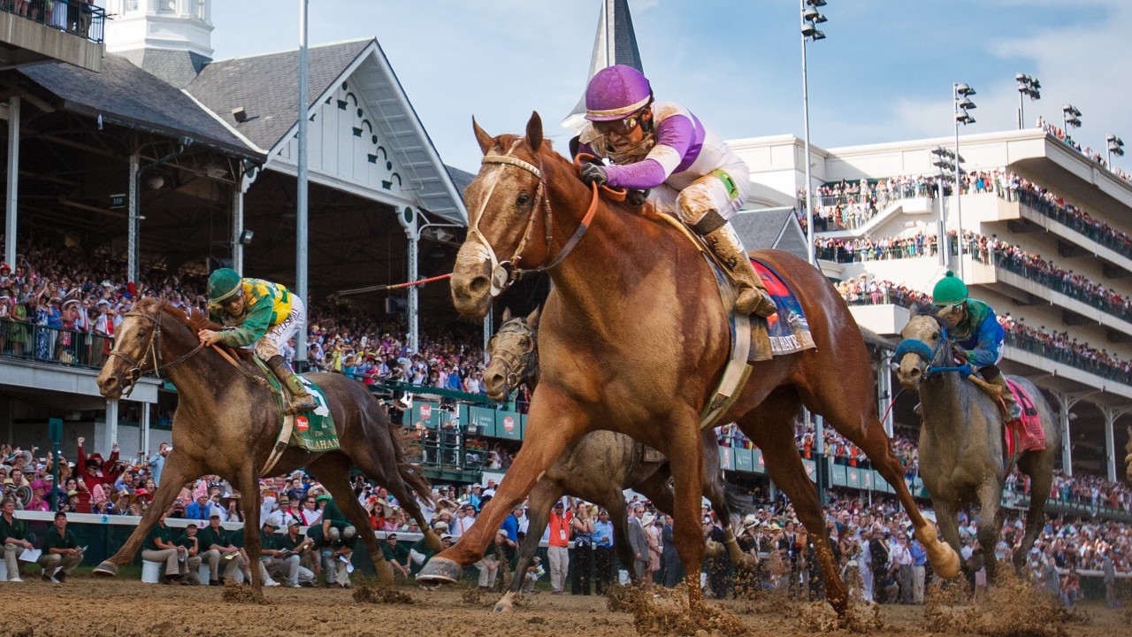 Kentucky Derby hero I'll Have Another back at stud in the US