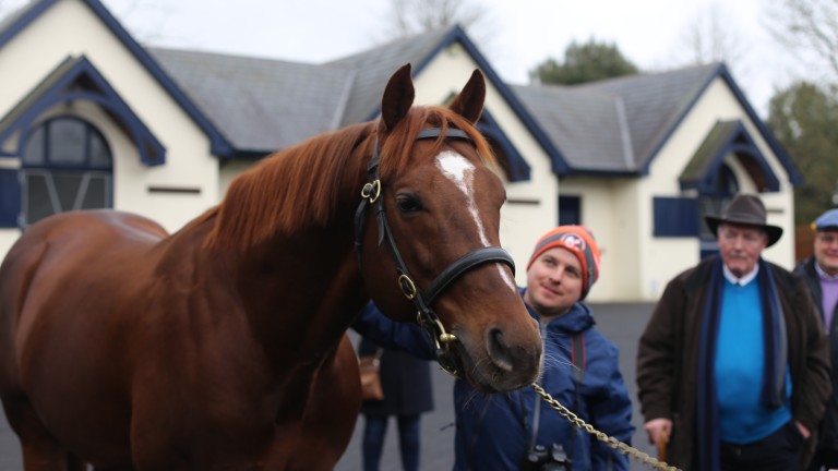 The Irish Stallion Trail will include the Coolmore stallions