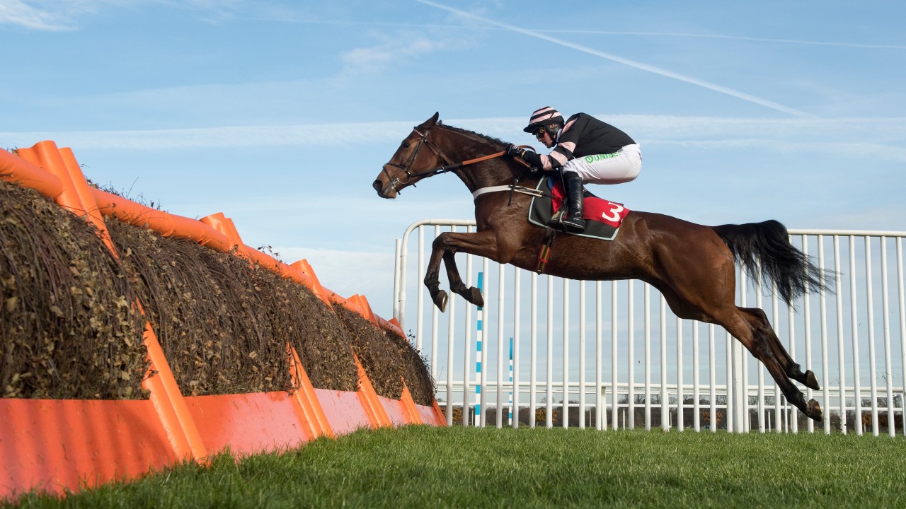Henderson unleashes Mr Whipped over fences in historically hot novice