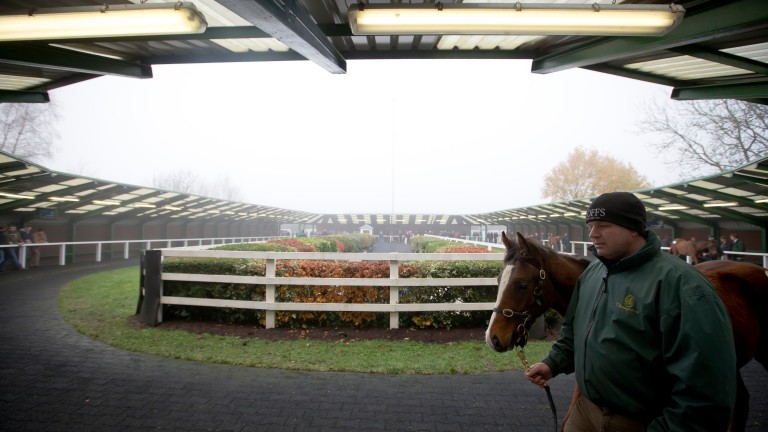 Goffs: Friday's session produced a clearance rate of just 43 per cent