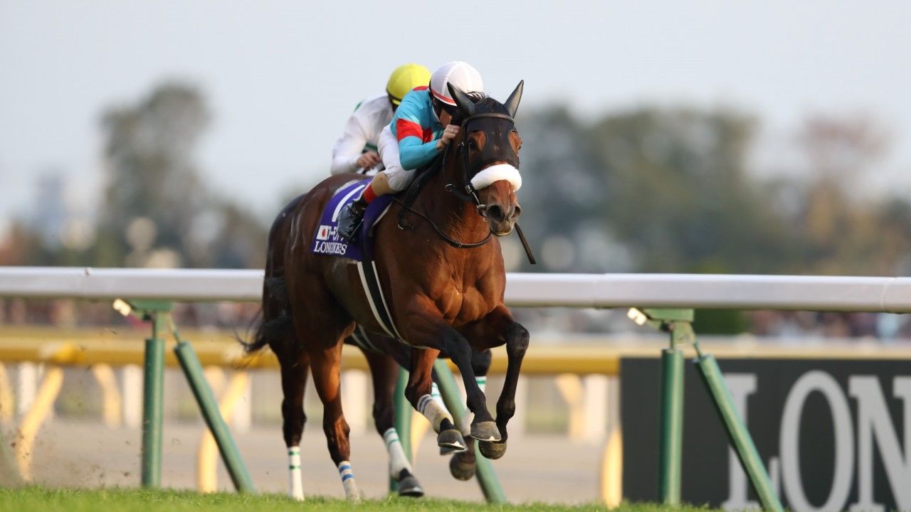 Almond Eye cut for Arc after smashing track record in Japan Cup Horse