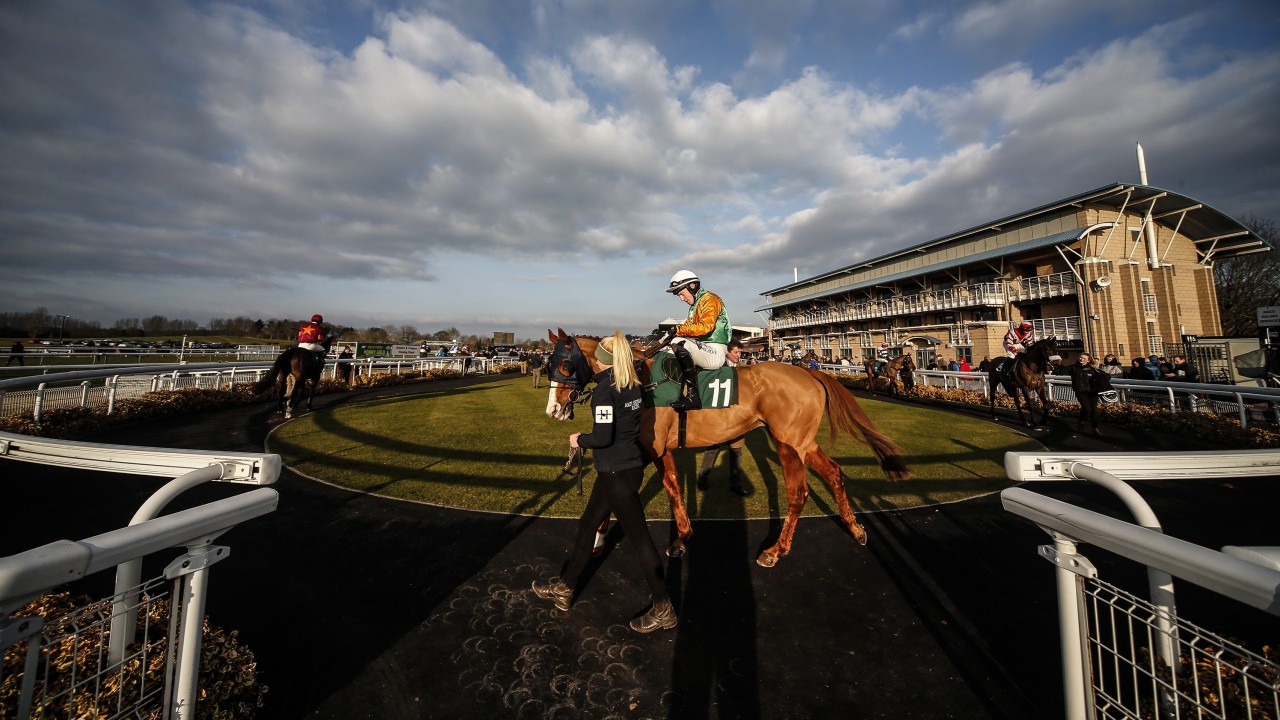 Warwick Pilot Event On Monday Gets Go Ahead With Reduced Capacity Horse Racing News Racing Post