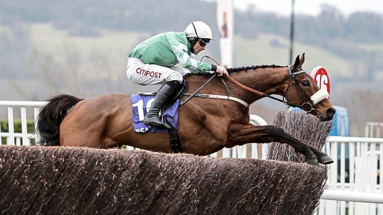 Presenting Percy: an impressive winner of the RSA Chase