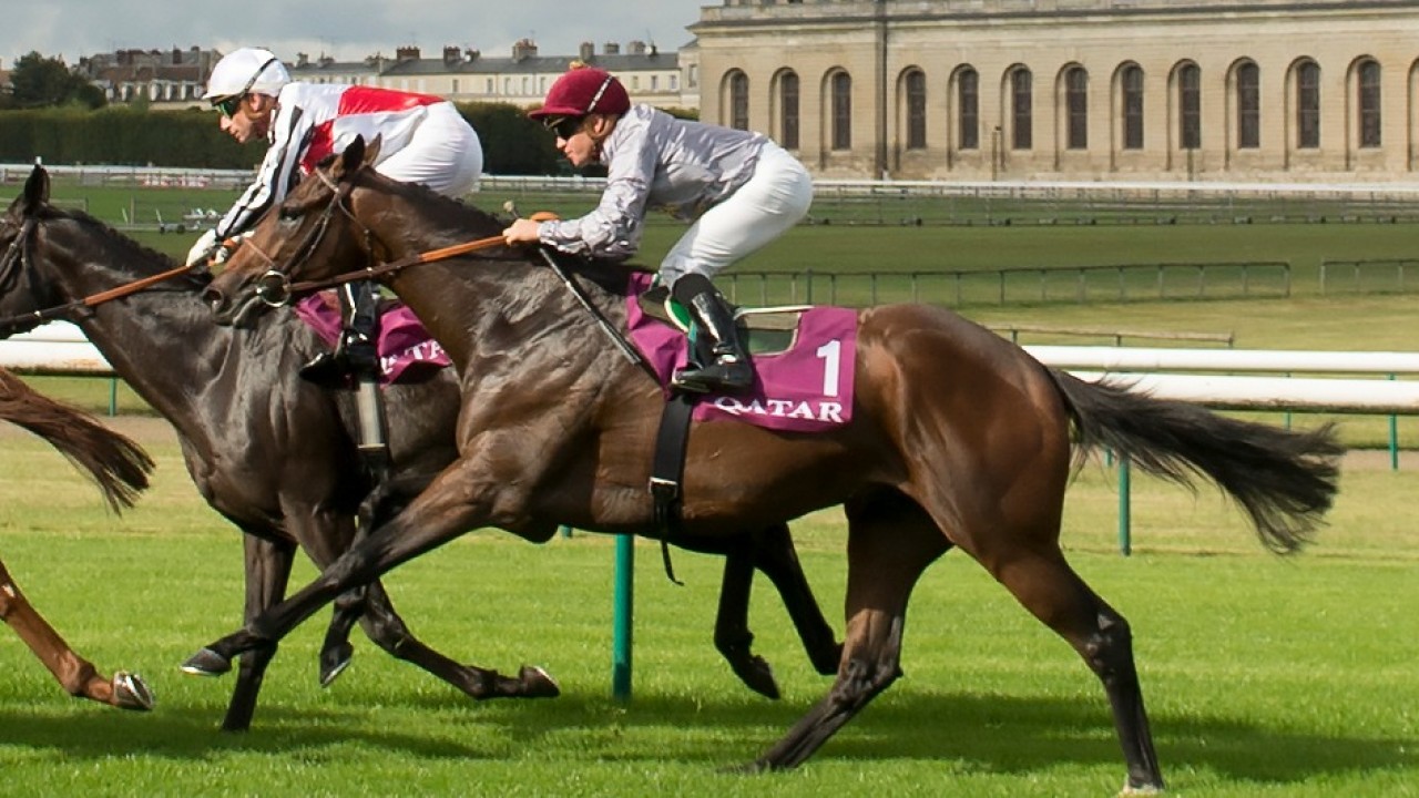 Pont de vivaux horse racing betting sites all minecraft mods 1-3 2-4 betting system