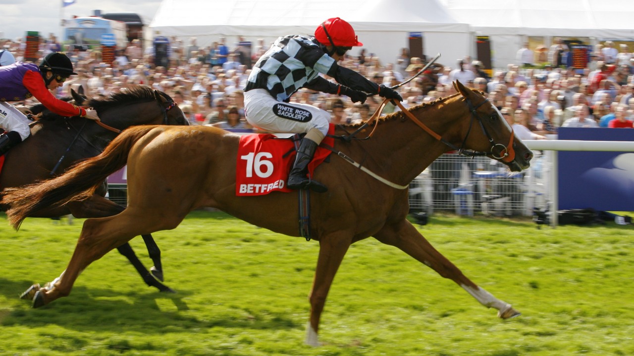 Jockey Dale Swift planning to make a comeback following suspension