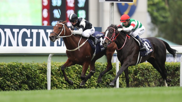 Exultant defeats Lys Gracieux in the Hong Kong Vase