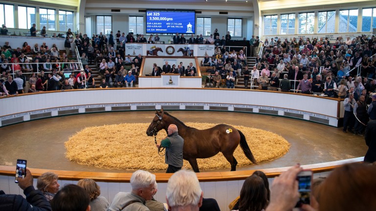 The Dubawi colt out of Dar Re Mi sells for 3.5 million guineas to David Redvers