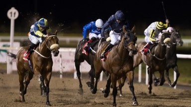 Could It Be Love (centre, navy silks) makes her 14th start of the season in the Prix Luthier at Deauville on Saturday