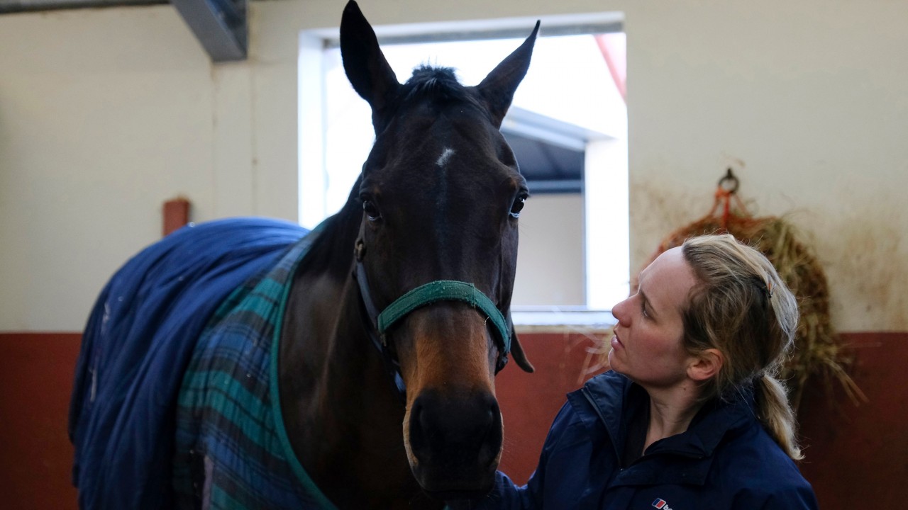 Patient Waiting Needed Again As Waiting Patiently S Season Comes To Early End Horse Racing News Racing Post