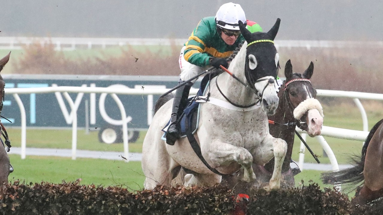Jessica Harrington Looking To Magic Of Light To Shine Brightest Horse Racing News Racing Post
